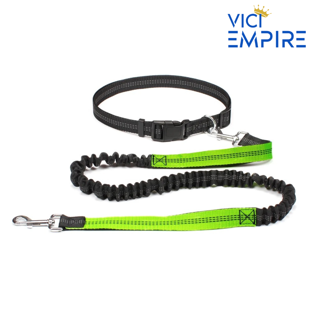Hands Free Running Leash
