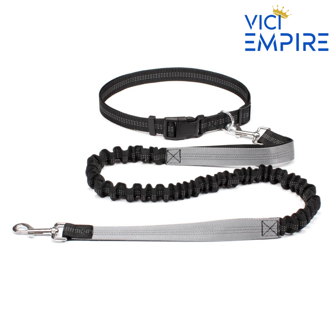 Hands Free Running Leash