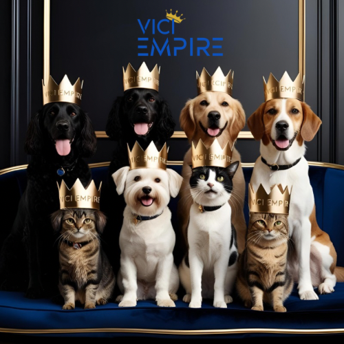 🐾 More Than Companions: The Remarkable Ways Dogs and Cats Enrich Our Lives