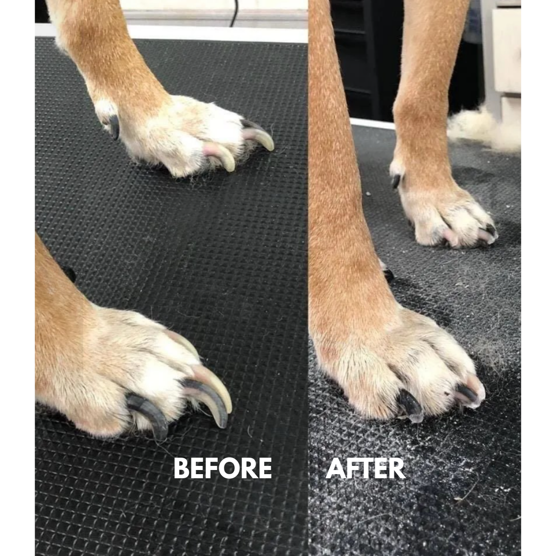 Pet Nail Trimmer