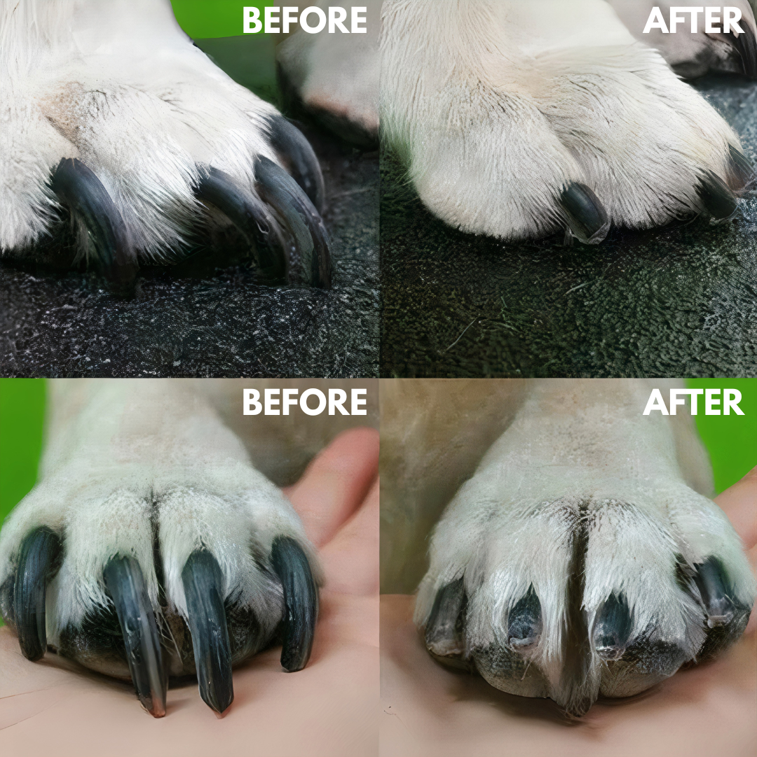 Pet Nail Trimmer