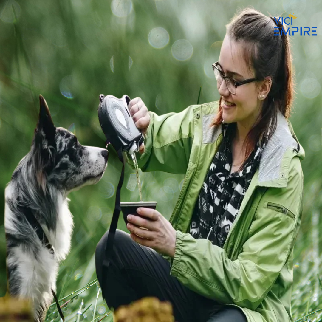 5 in 1 Premium Dog Leash