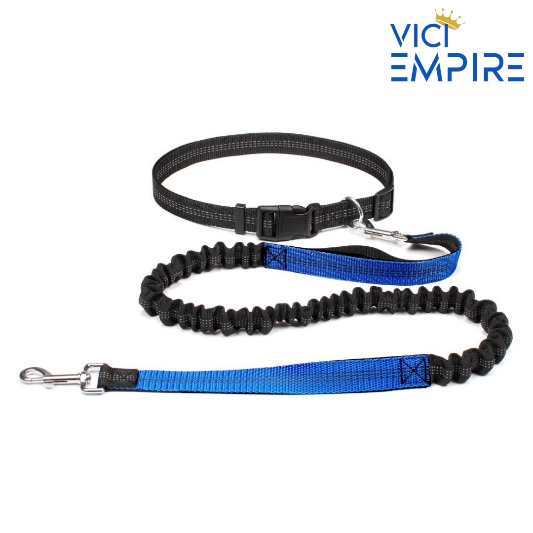 Hands Free Running Leash