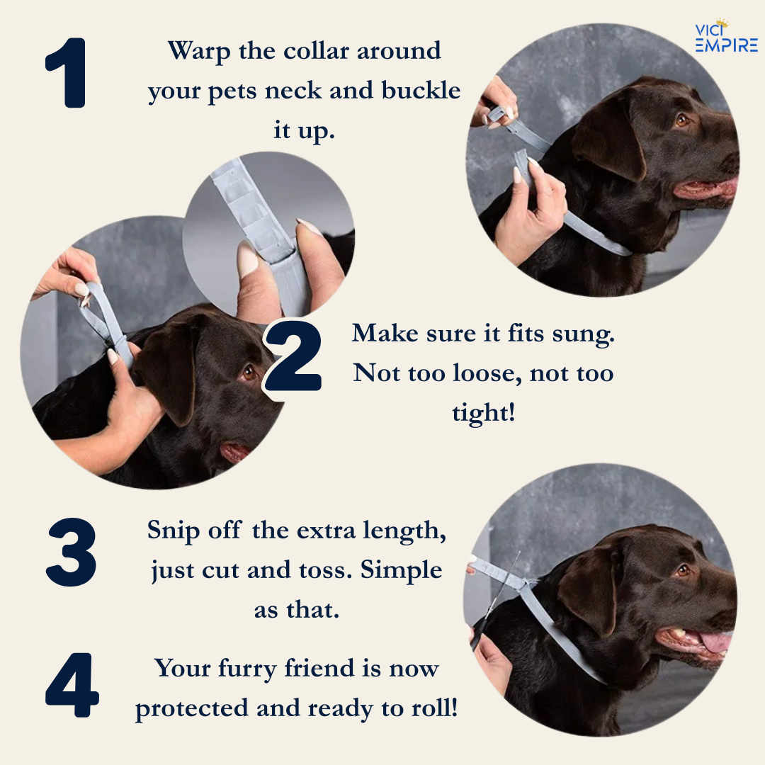 Anti-Flea Bug Tick Collar