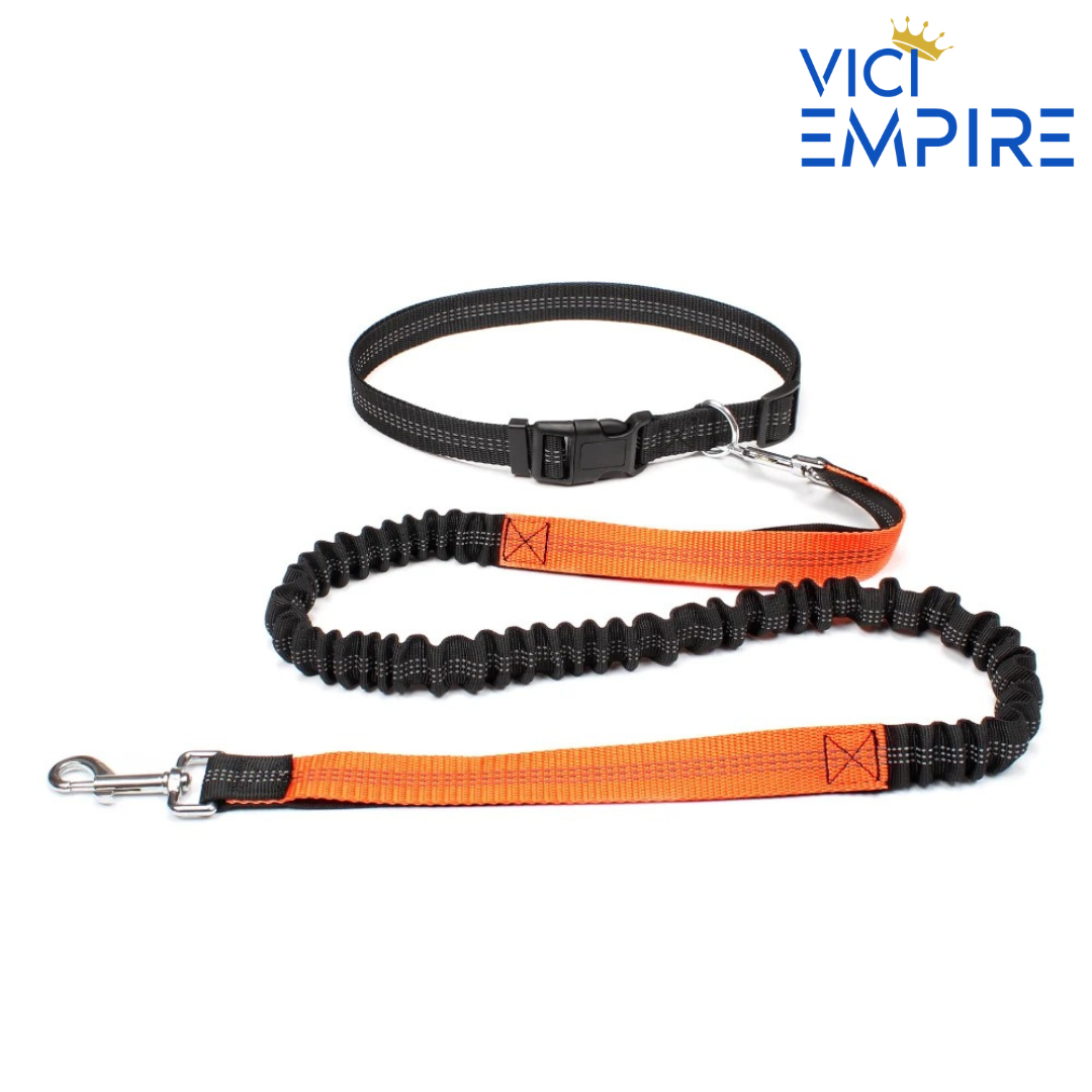Hands Free Running Leash