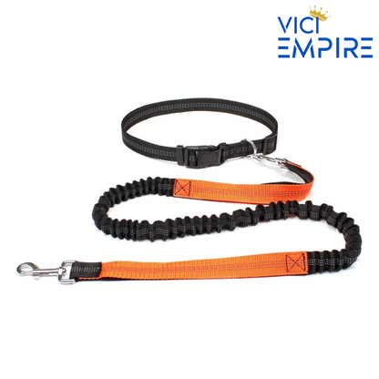 Hands Free Running Leash