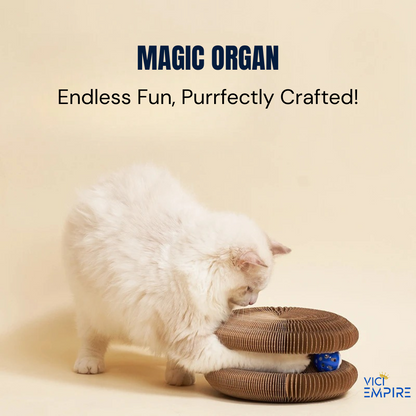 Magic Organ
