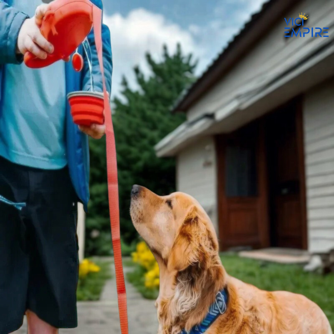 5 in 1 Premium Dog Leash